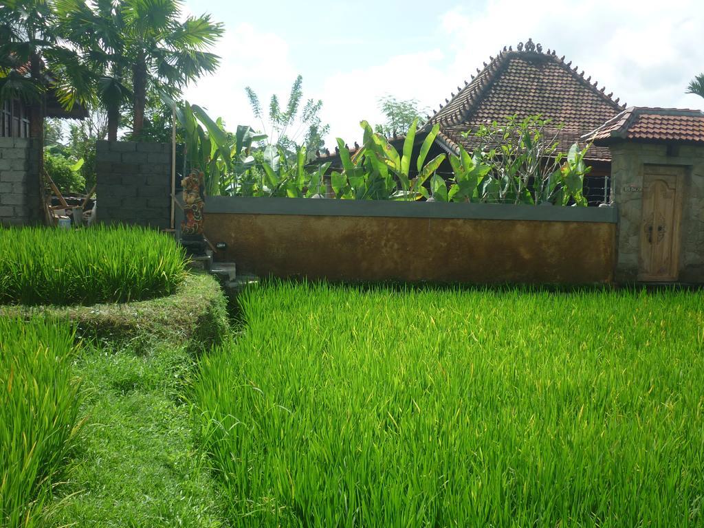 Villa Nini Ubud Habitación foto